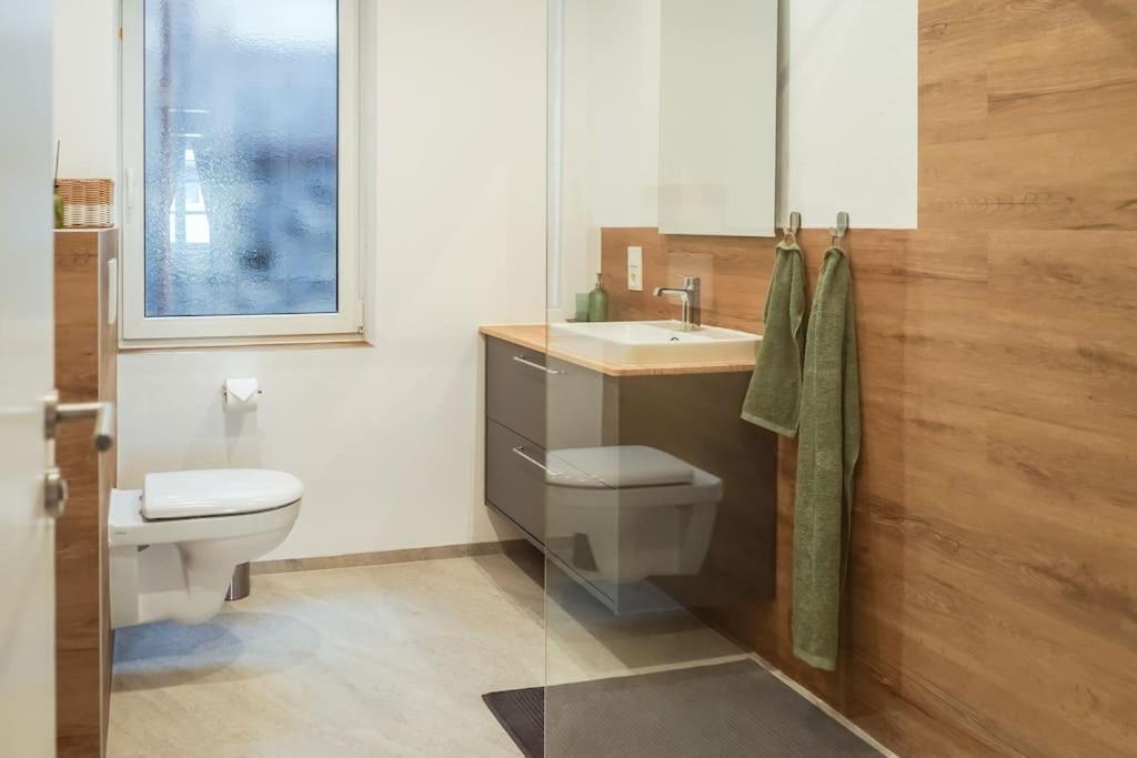 Schicke Altbau Apartment Homburg (Saar)